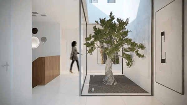 Luxury penthouses